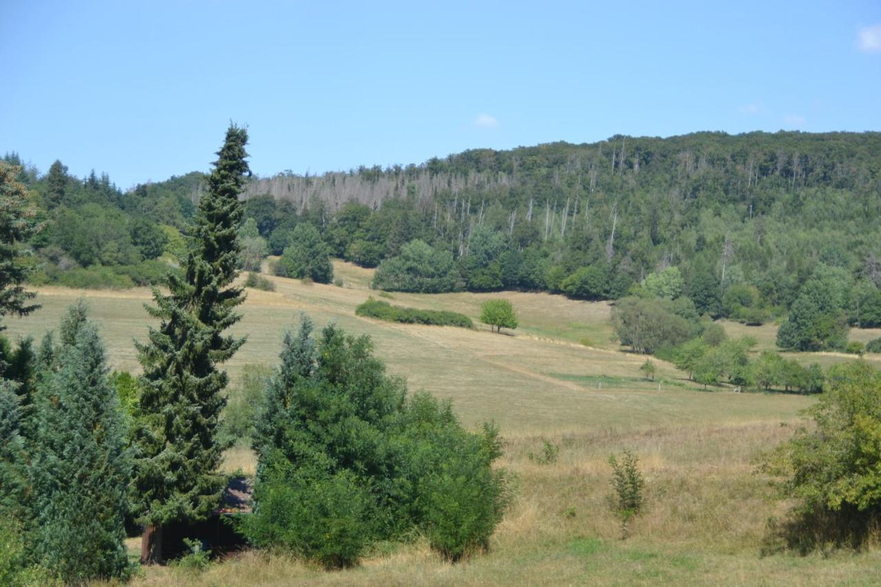 Frankenau Fewo Kellerwald מראה חיצוני תמונה